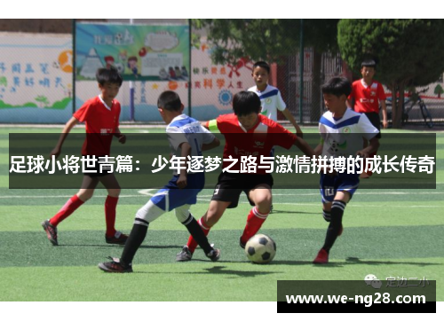 足球小将世青篇：少年逐梦之路与激情拼搏的成长传奇