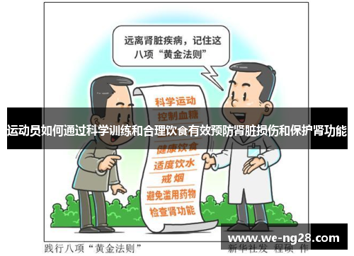 运动员如何通过科学训练和合理饮食有效预防肾脏损伤和保护肾功能