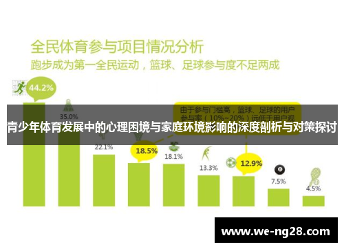 青少年体育发展中的心理困境与家庭环境影响的深度剖析与对策探讨